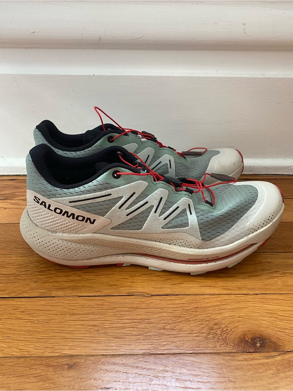 Salomon Men's Light Gray and Red Trail Running Shoes